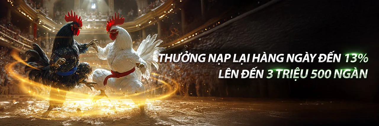 Sân vận động với ánh đèn rực rỡ và các môn thể thao đa dạng